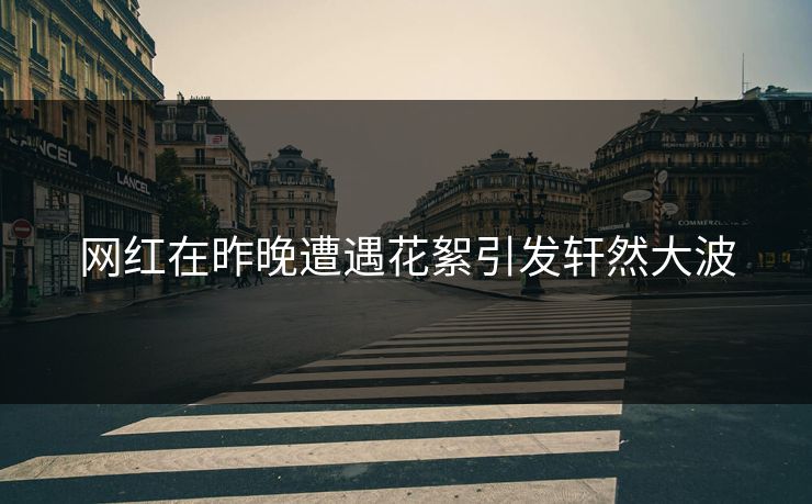 网红在昨晚遭遇花絮引发轩然大波